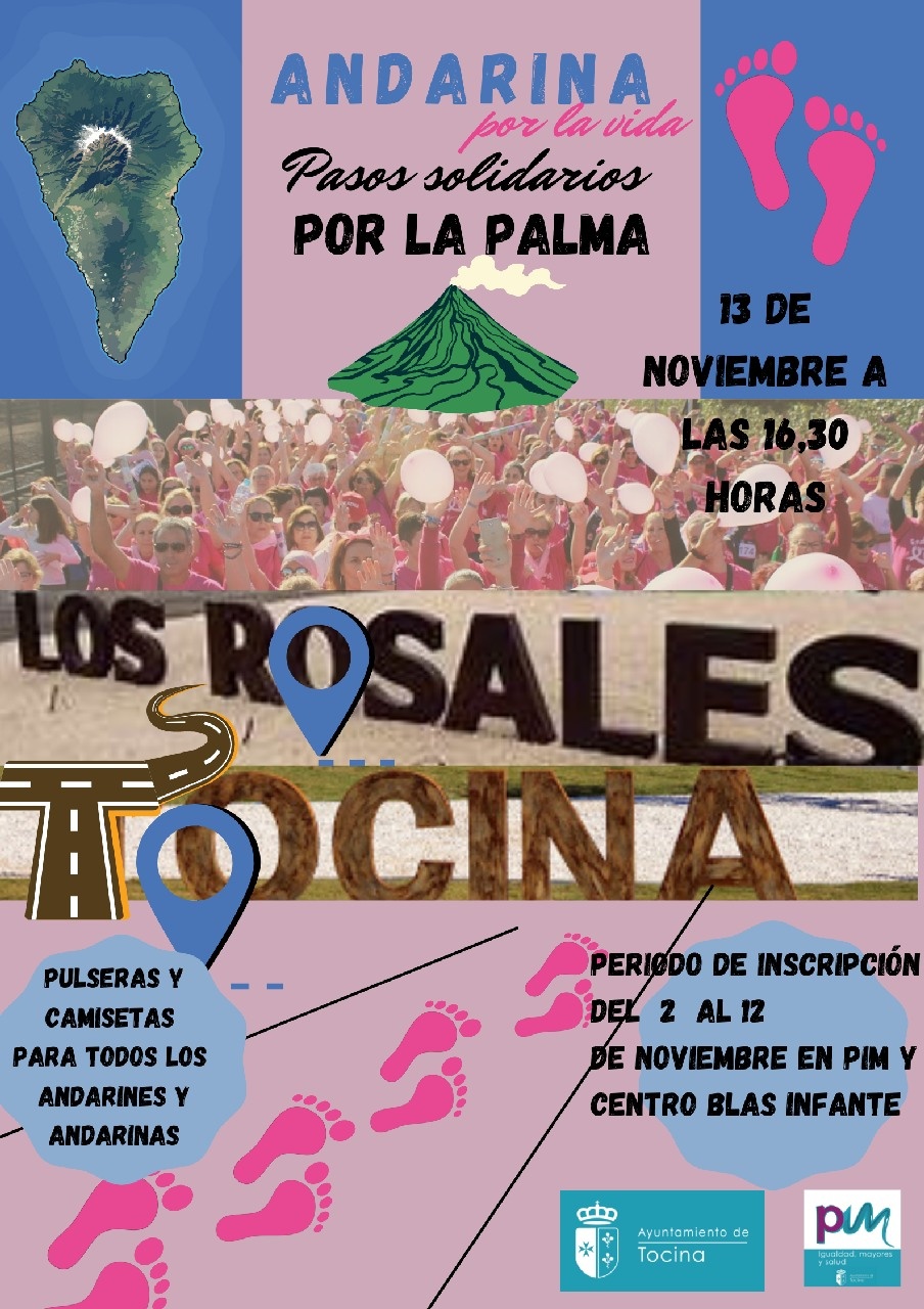 Cartel Andarina 2