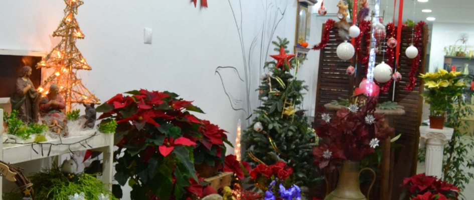 1º PREMIO_FLORISTERÍA  SORIGARDEN