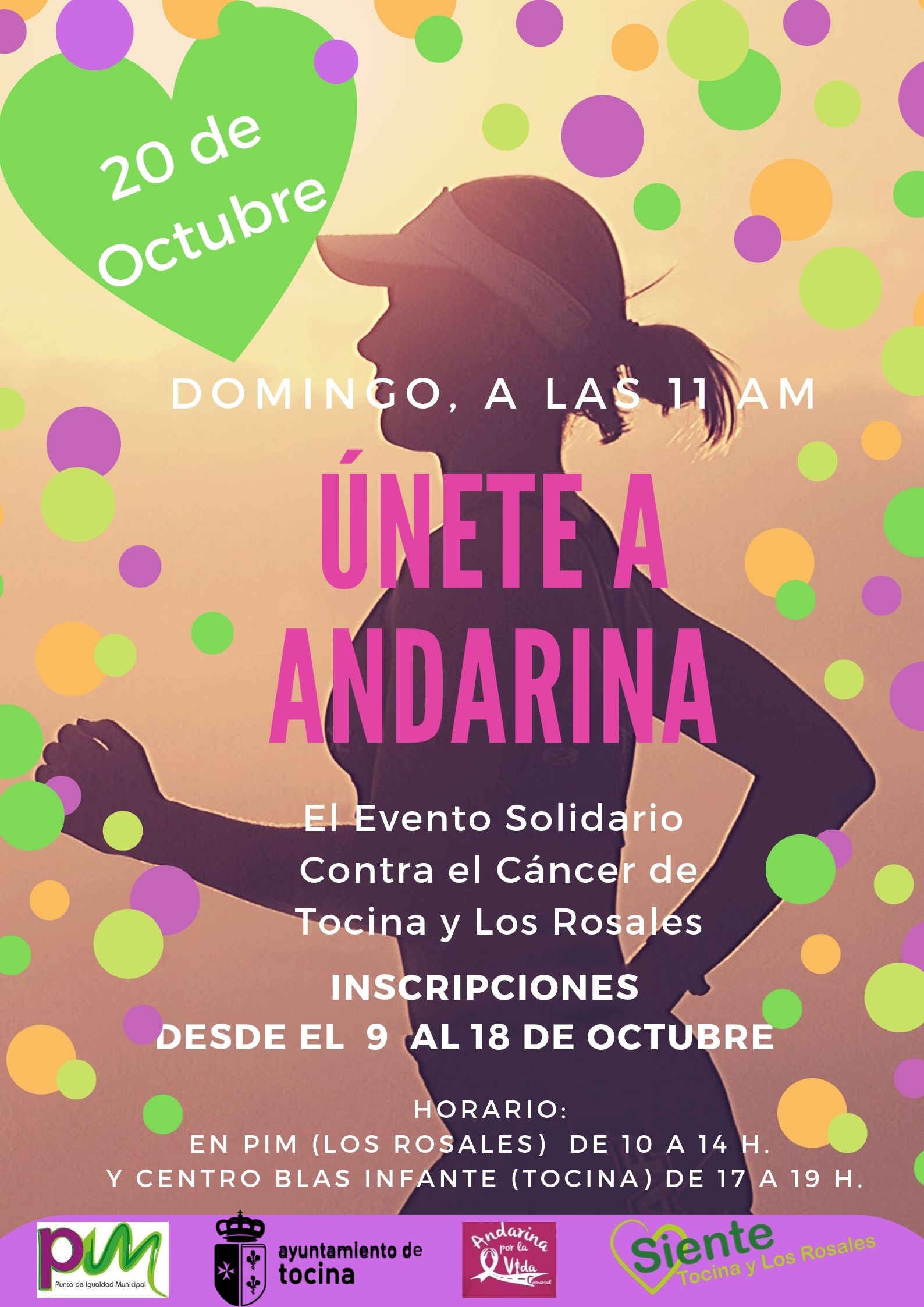 Cartel Andarina2019