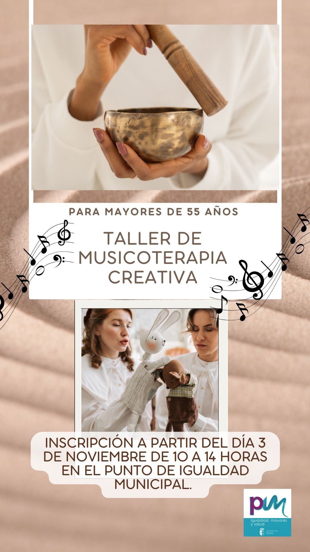 Cartel musicoterapia TOCINA OCT25