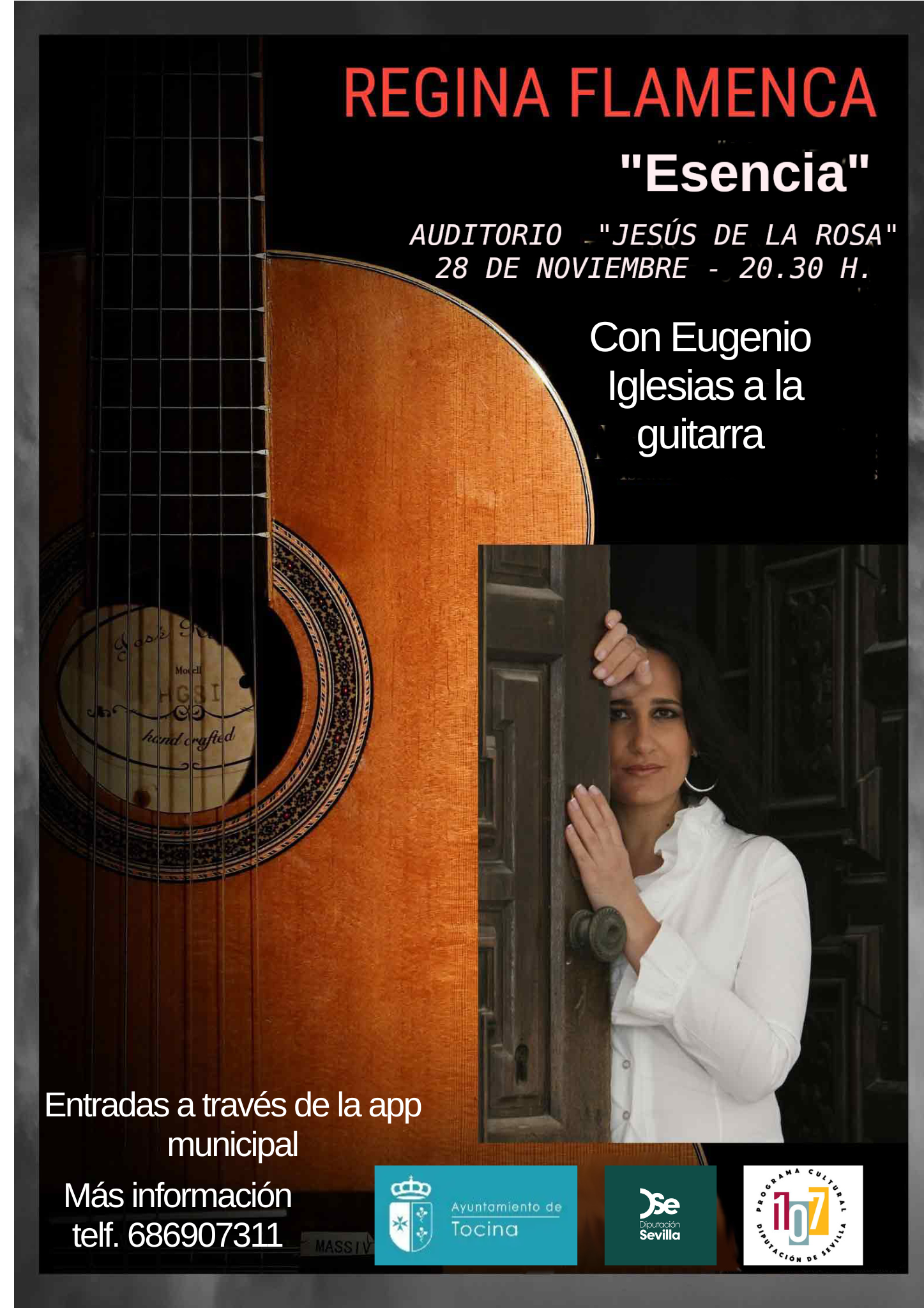 FLAMENCO REGINA NOV TOCINA25