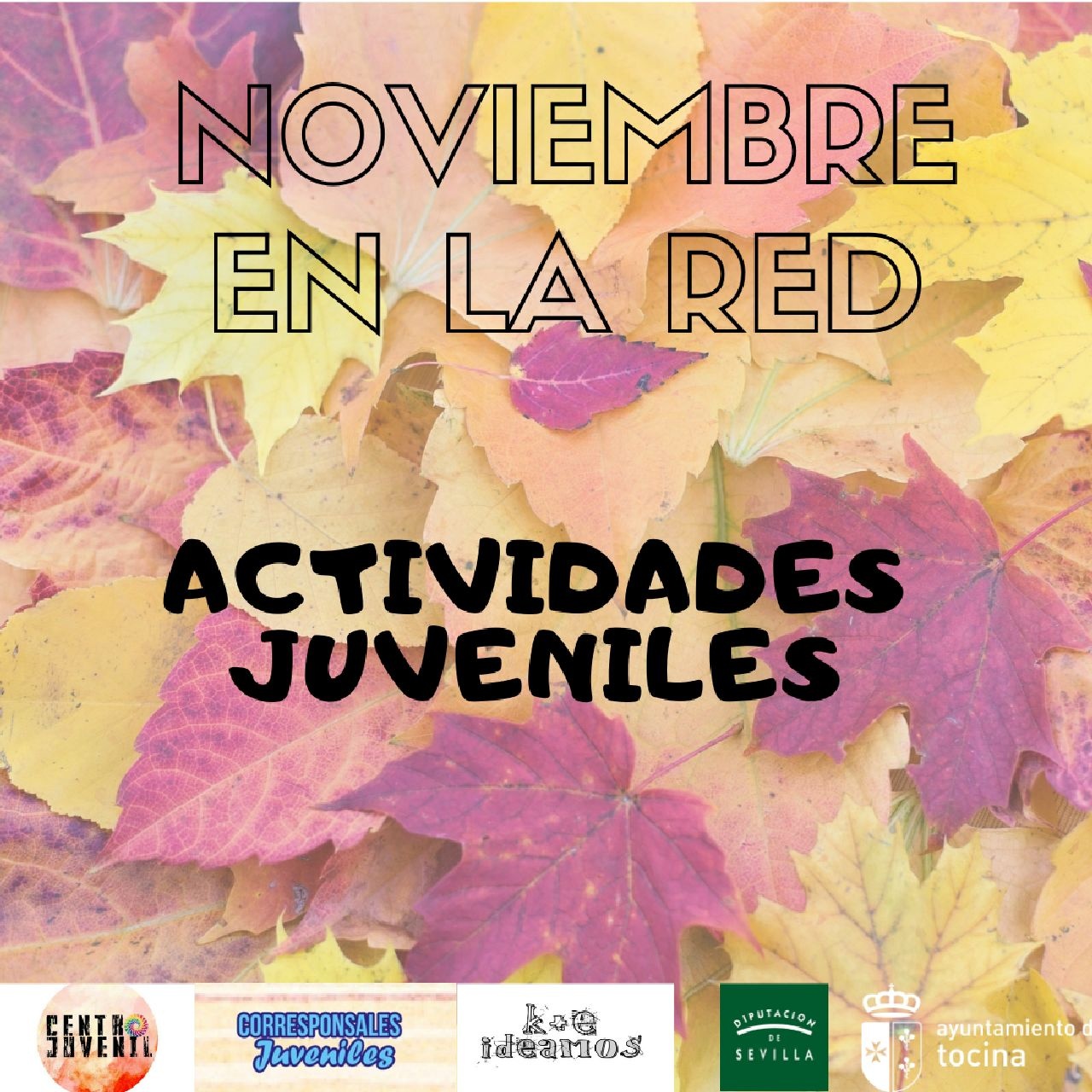 Noviembre en la red