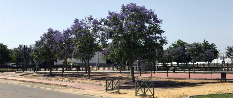 Parque-VERA-CRUZ.jpg