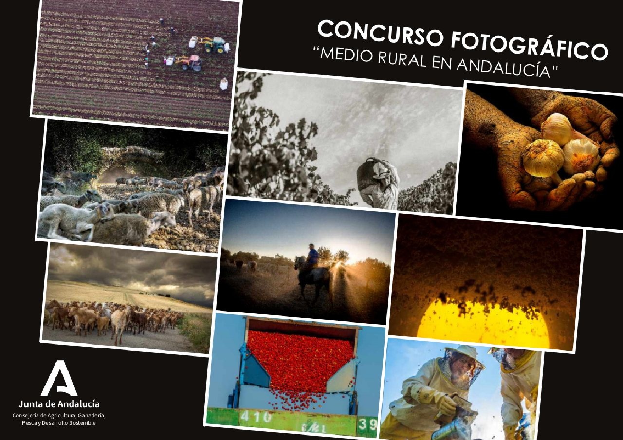 concurso fotografico andaluciarural
