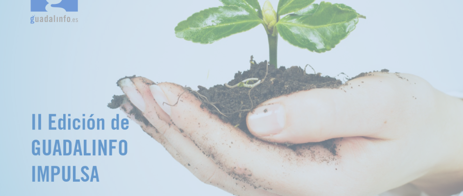 guadalinfoimpulsa2.png