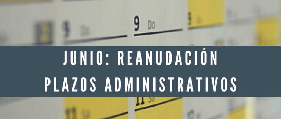 plazos adminsitrativos tocina