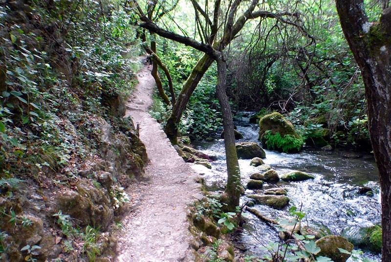 sendero-rio-majaceite-3