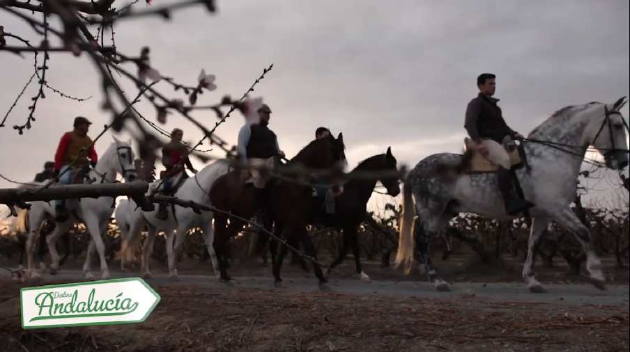 tocina_destinoandalucia